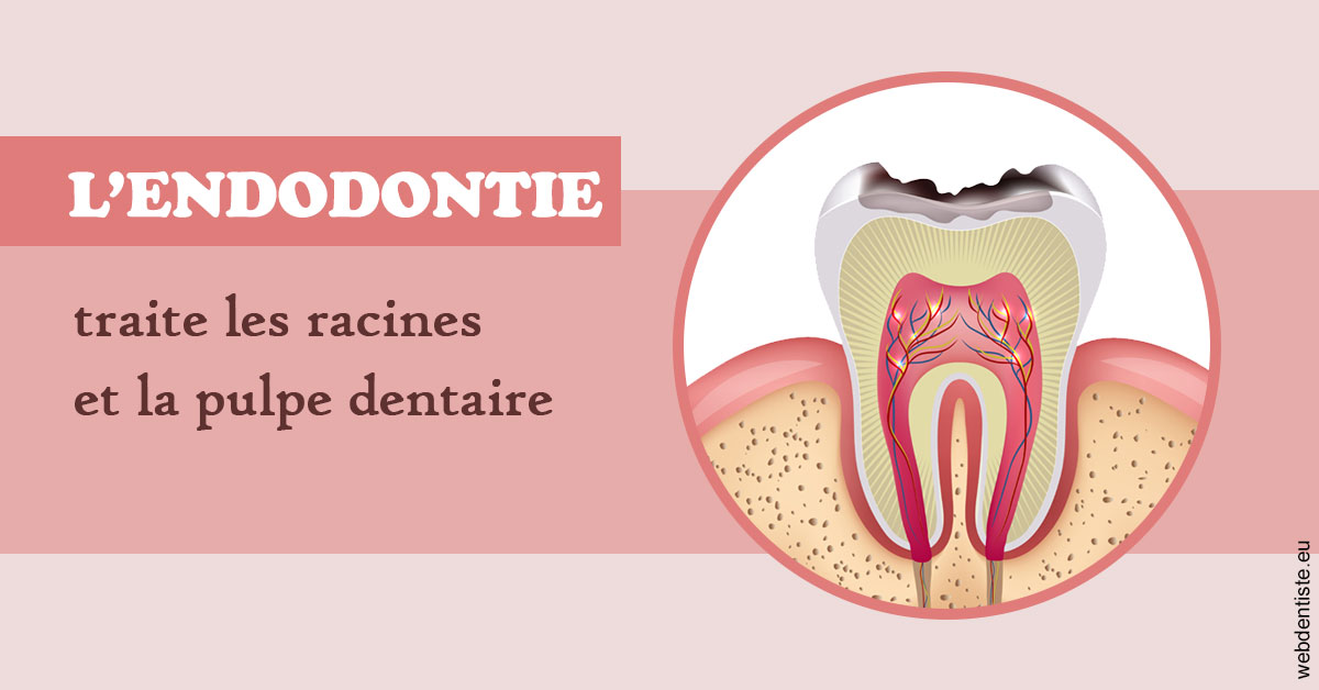 https://www.drrichardgrosman.fr/L'endodontie 2