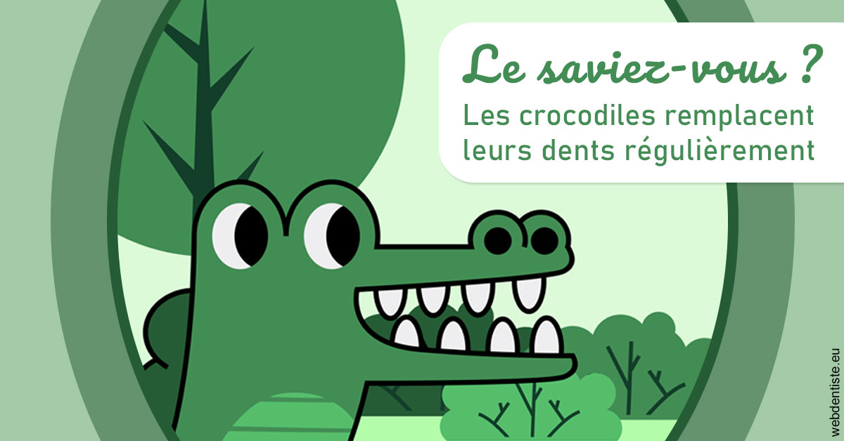 https://www.drrichardgrosman.fr/Crocodiles 2