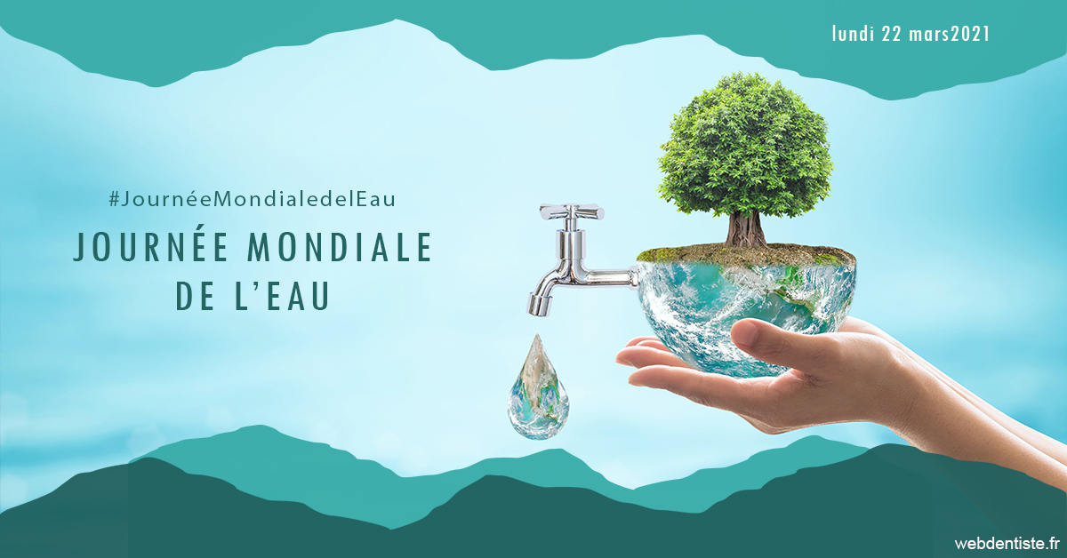 https://www.drrichardgrosman.fr/Journée de l'eau 1