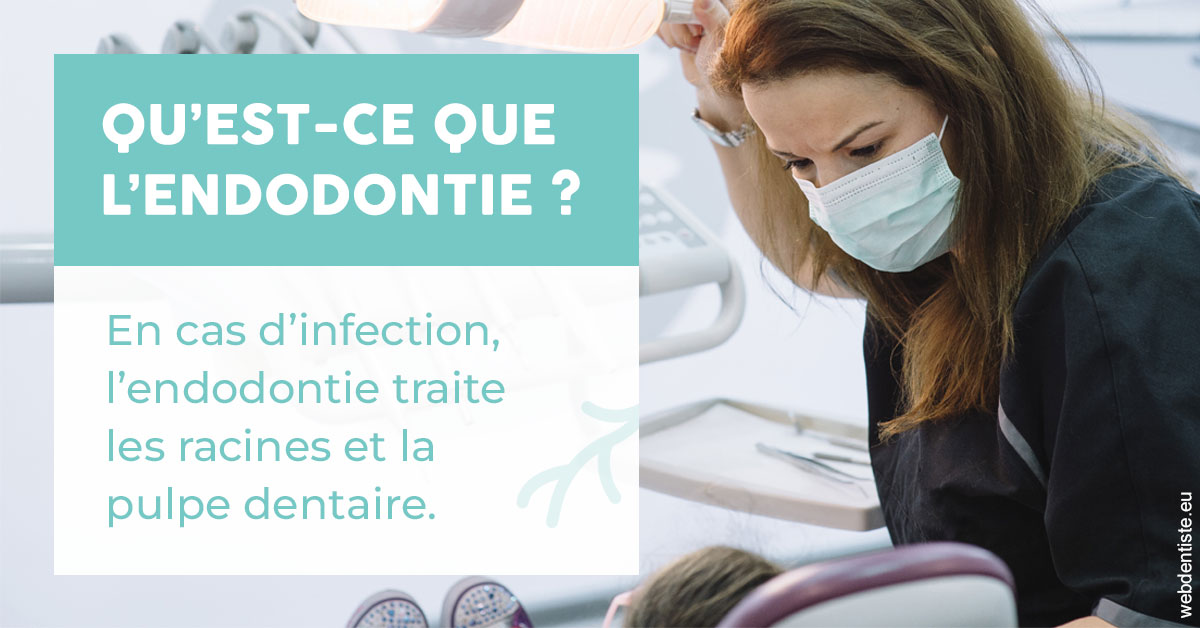 https://www.drrichardgrosman.fr/2024 T1 - Endodontie 01