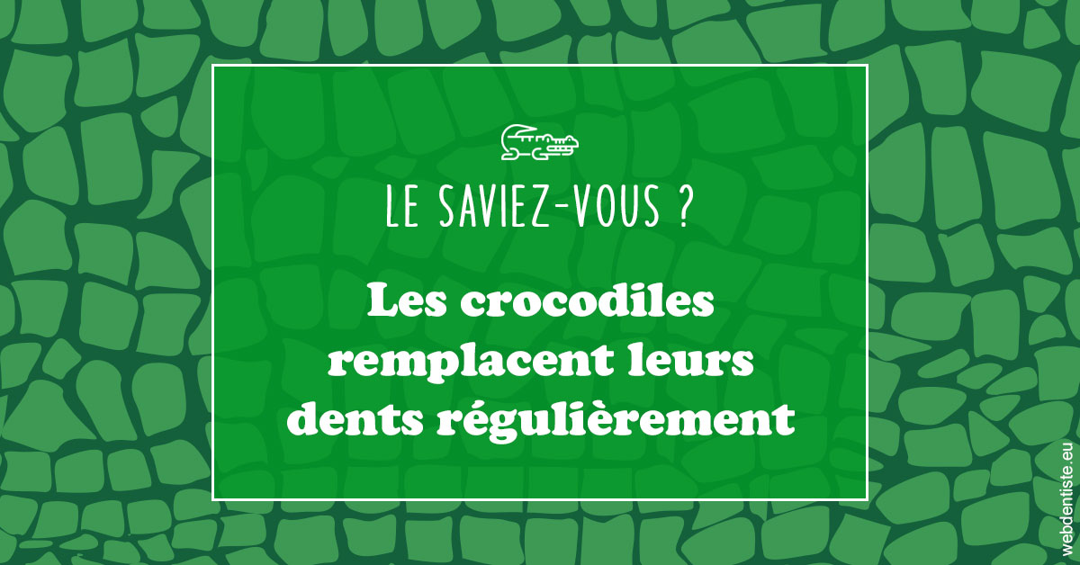 https://www.drrichardgrosman.fr/Crocodiles 1